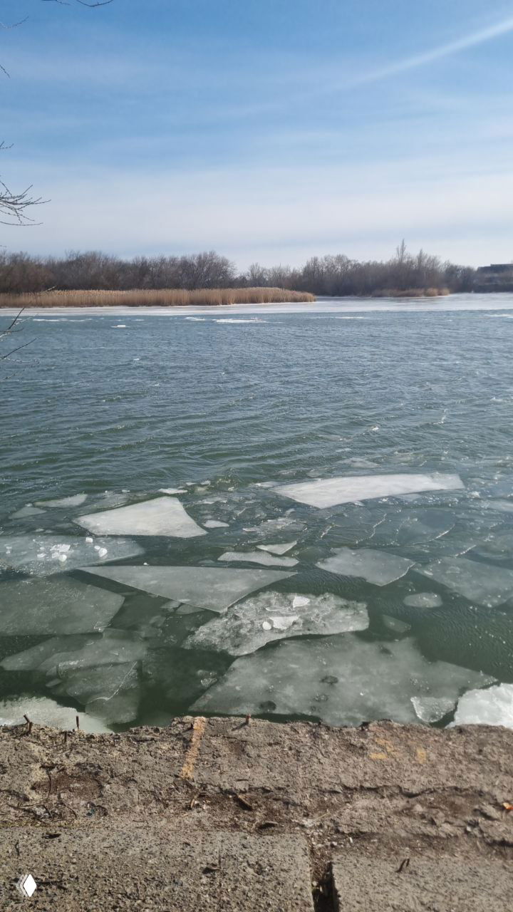 Фрагмент реки с крупными льдинками у берега, видна открытая вода и дальняя полоса камышей на фоне пасмурного неба.