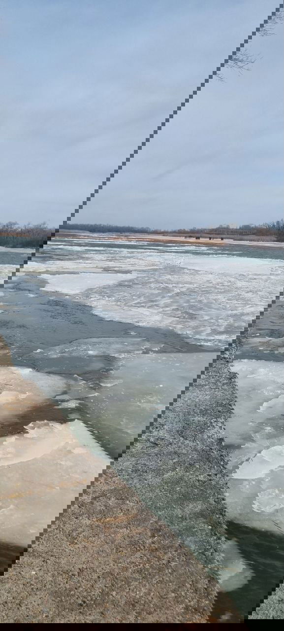 Общий план локации: подтаивающий лёд у берега, открытая проточная вода и дальняя сторона реки с редкими деревьями и береговой растительностью.