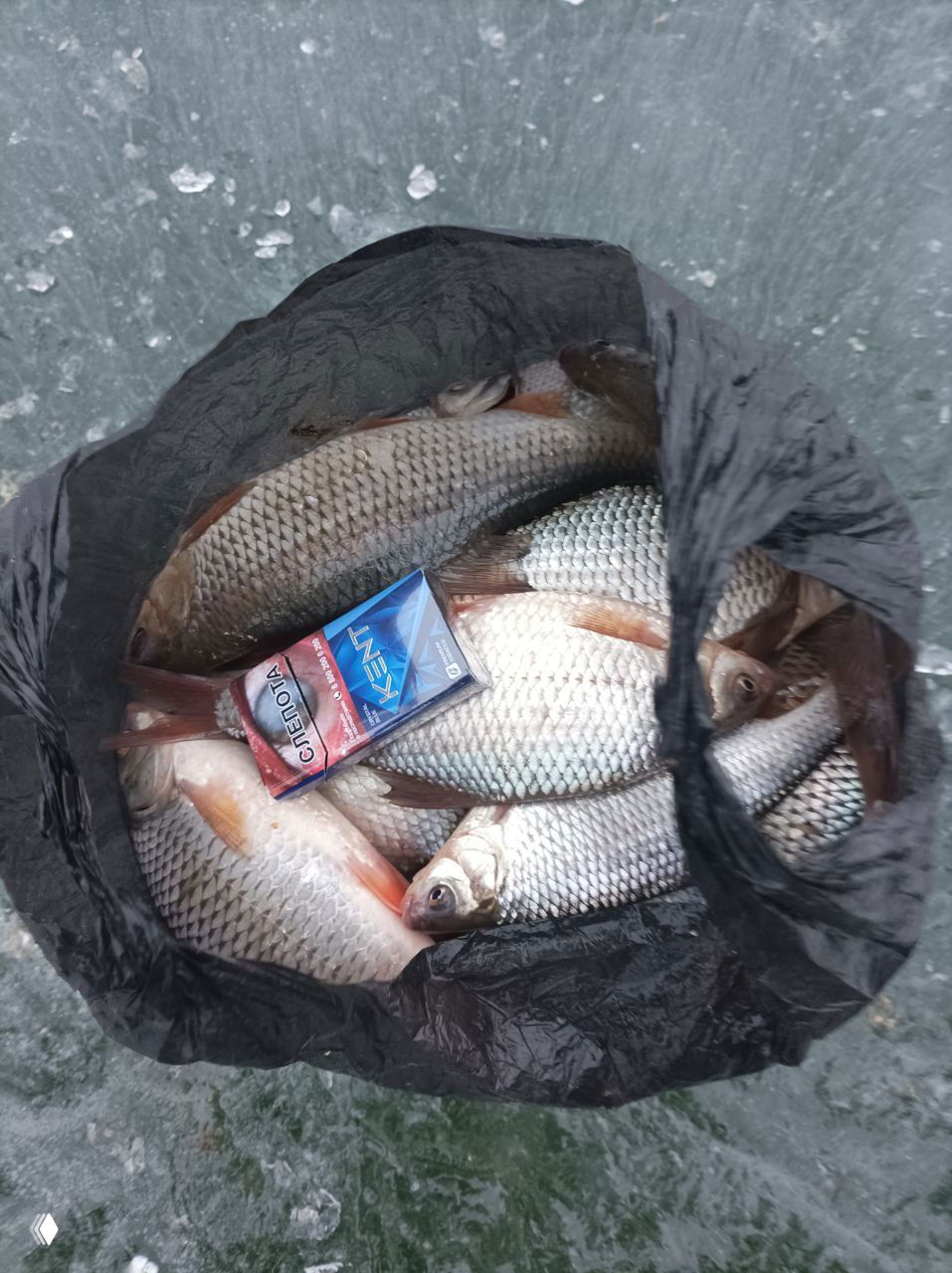 23.02 Рыбалка Маныч, Штаны