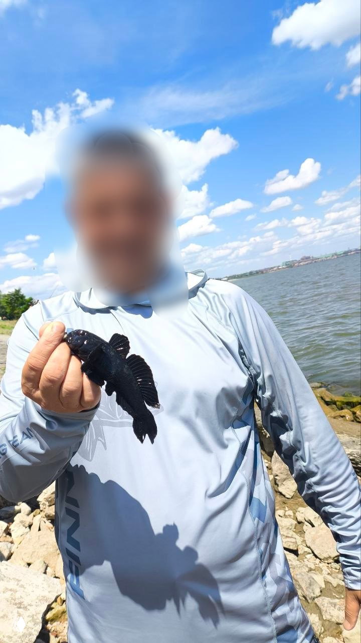 19.06 — Рыбалка, Пушкинская набережная (Альбатрос)