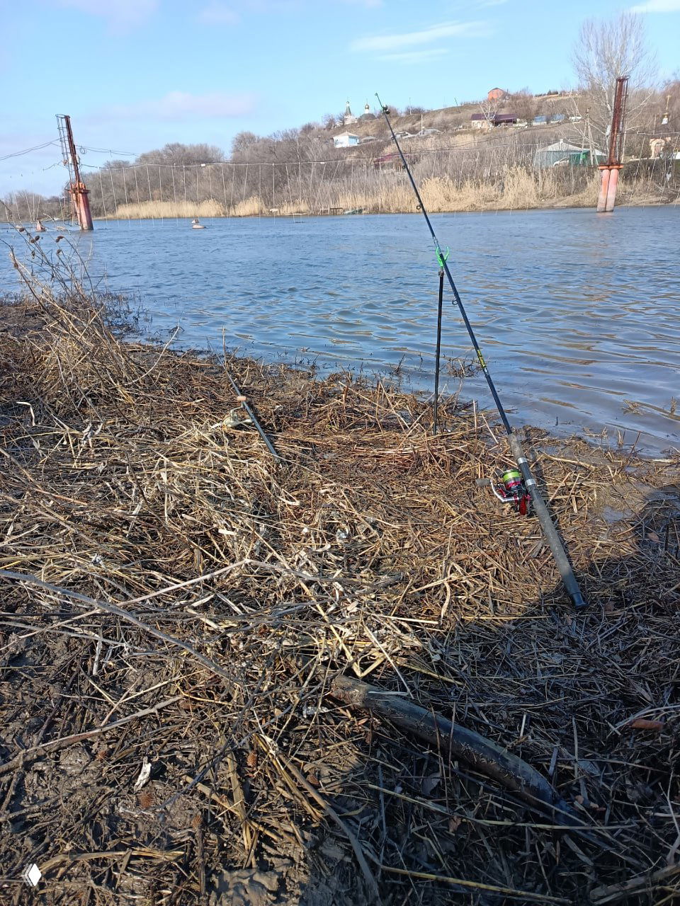 Фидерная снасть у воды: удилище с катушкой на берегу, коряжистая прибрежная зона и противоположный берег с домами и тростником.