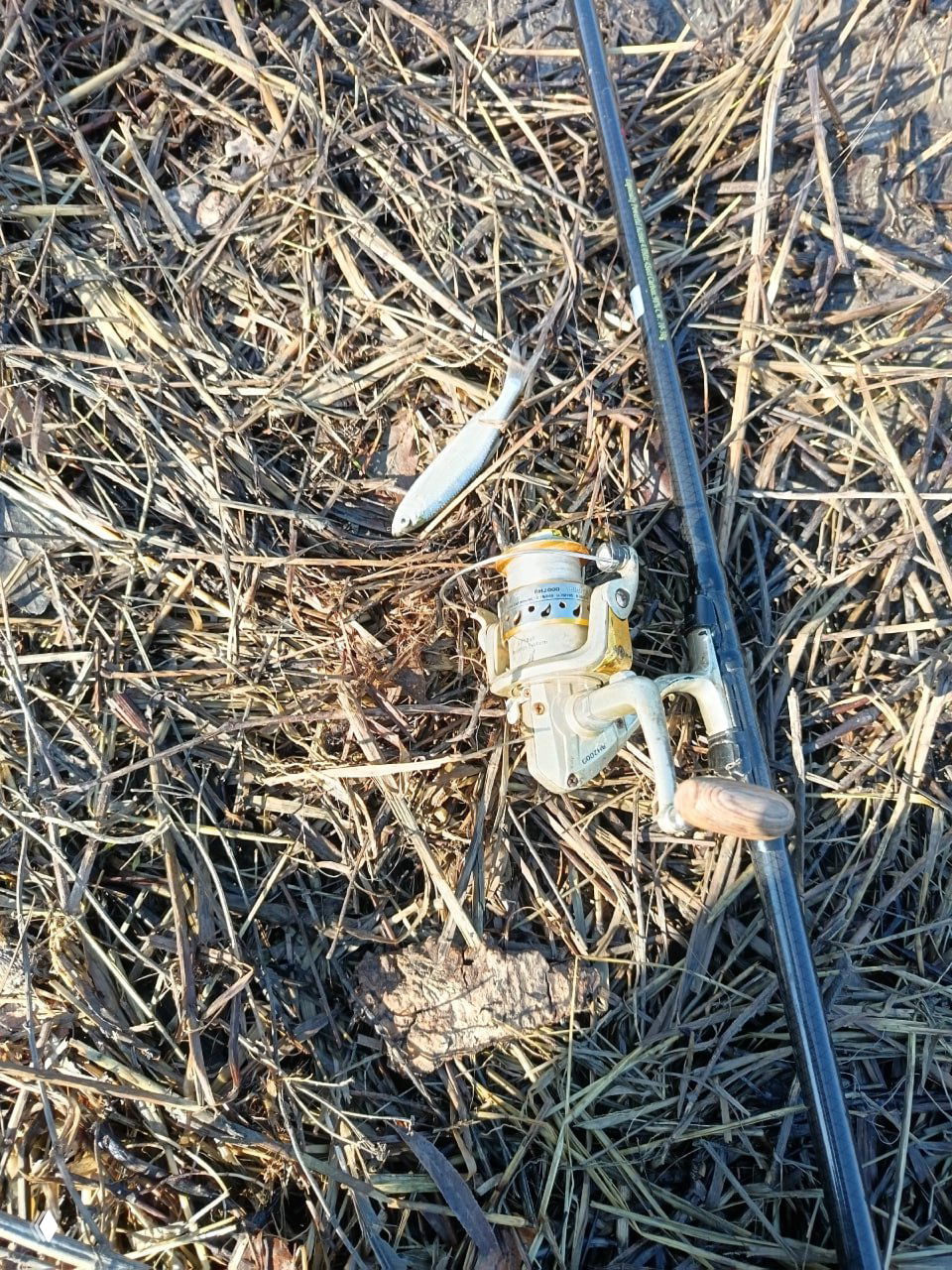 Крупный план катушки и ручки удилища, лежащих на сухой траве у воды; видны следы рыбалки и приманки рядом с снастью.