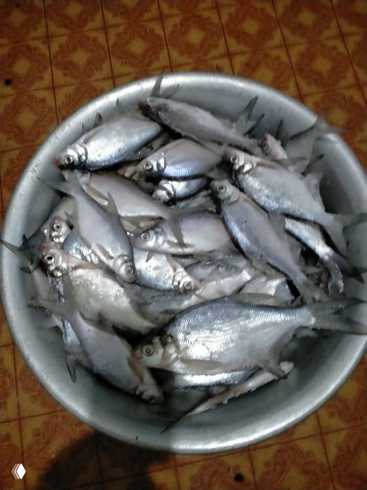 23.02 Рыбалка Новошахтинск — Гуковский пляж