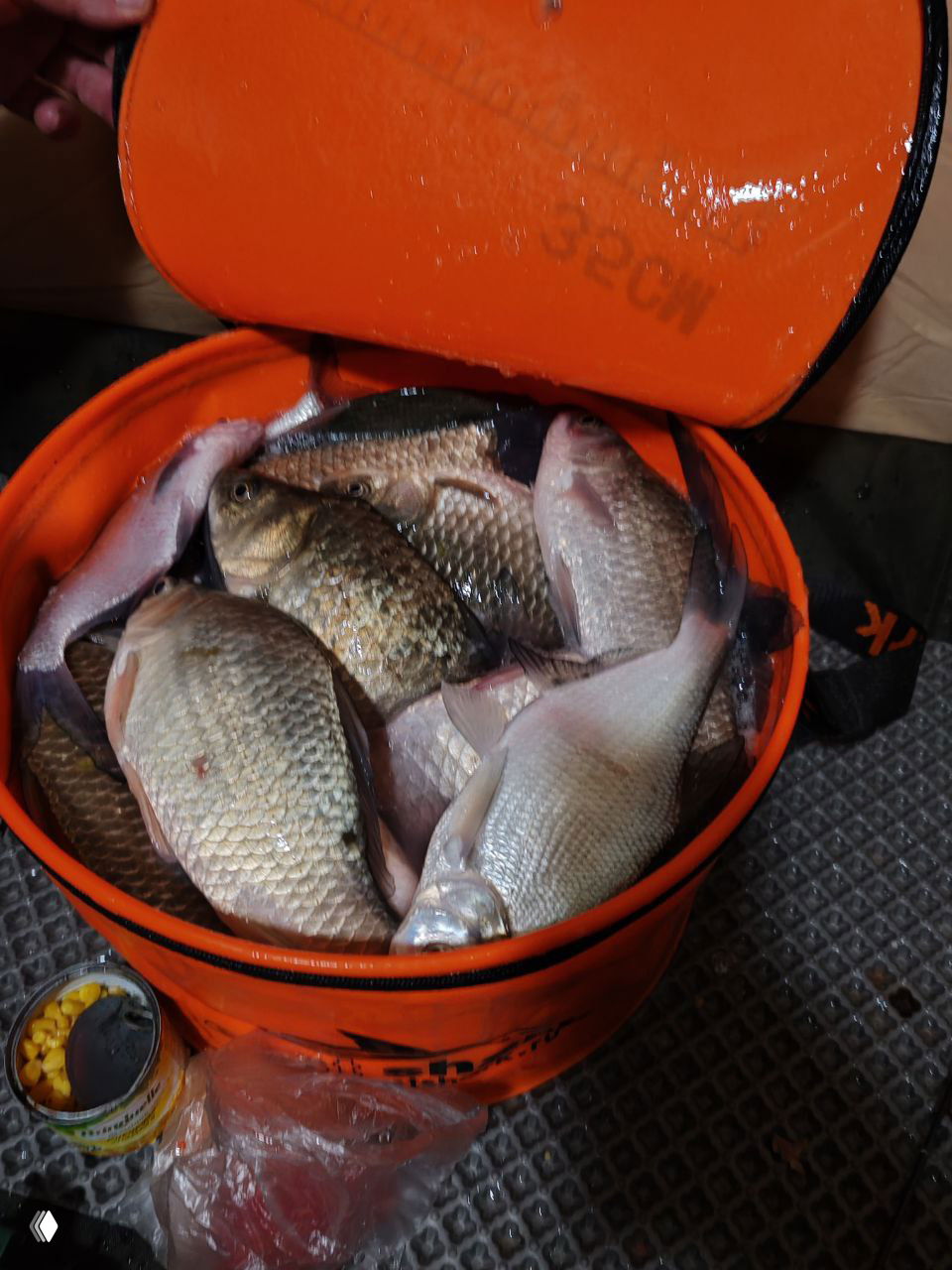 Оранжевое складное ведро с несколькими крупными карасями, улов лежит на дне лодки/пристани; рядом банка с кукурузой и пластиковый пакет.