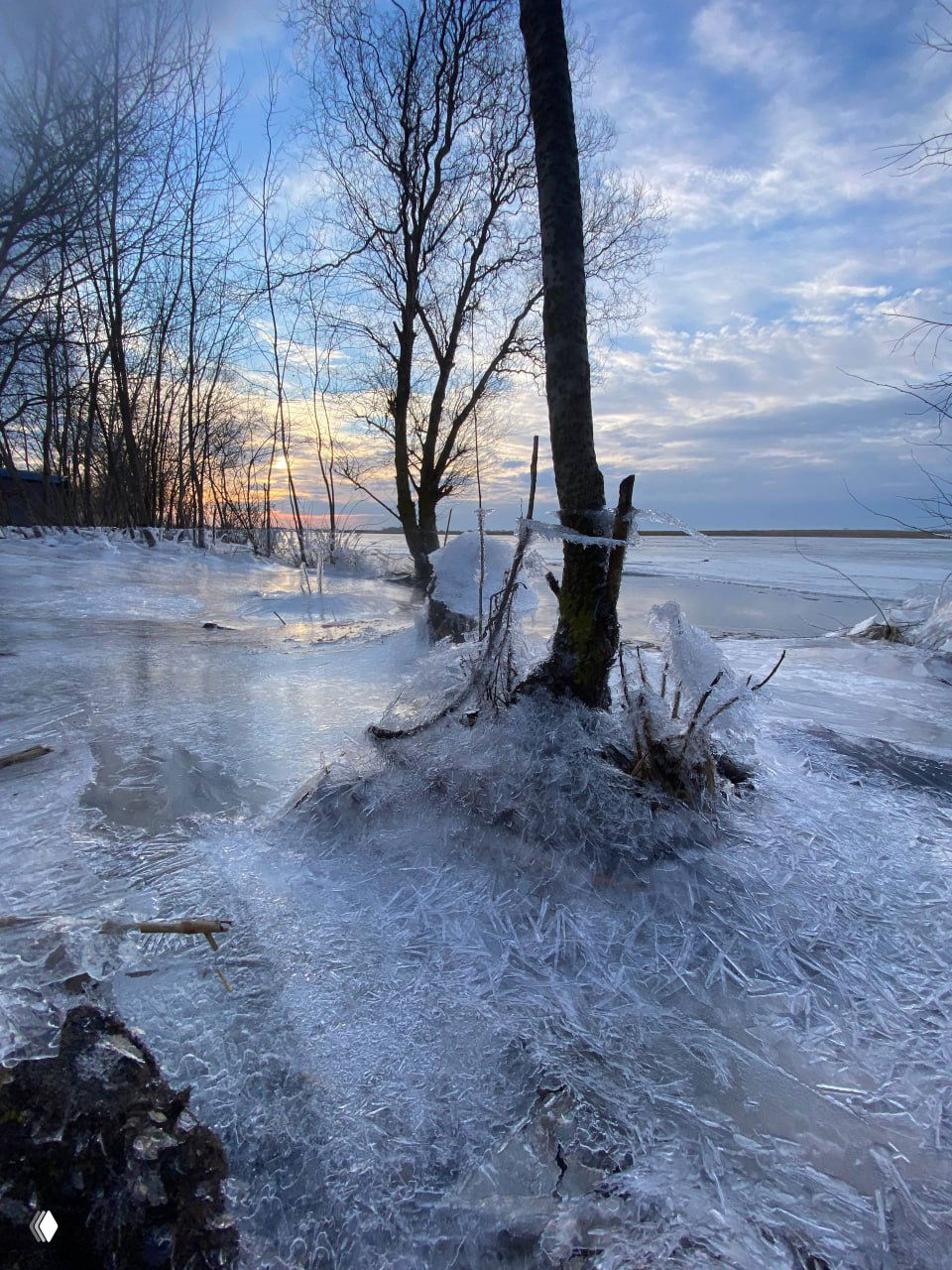 Морозный пейзаж с деревьями на берегу: лёд покрыт игольчатой коркой и тонкими ледяными образованиями вокруг стволов.
