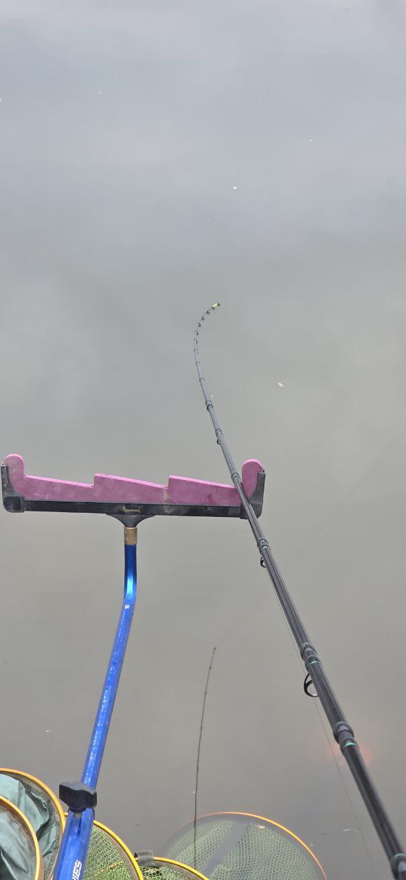 Крупный план загнутого кончика фидера над спокойной поверхностью воды; ожидание поклёвки в пасмурный день на канале.