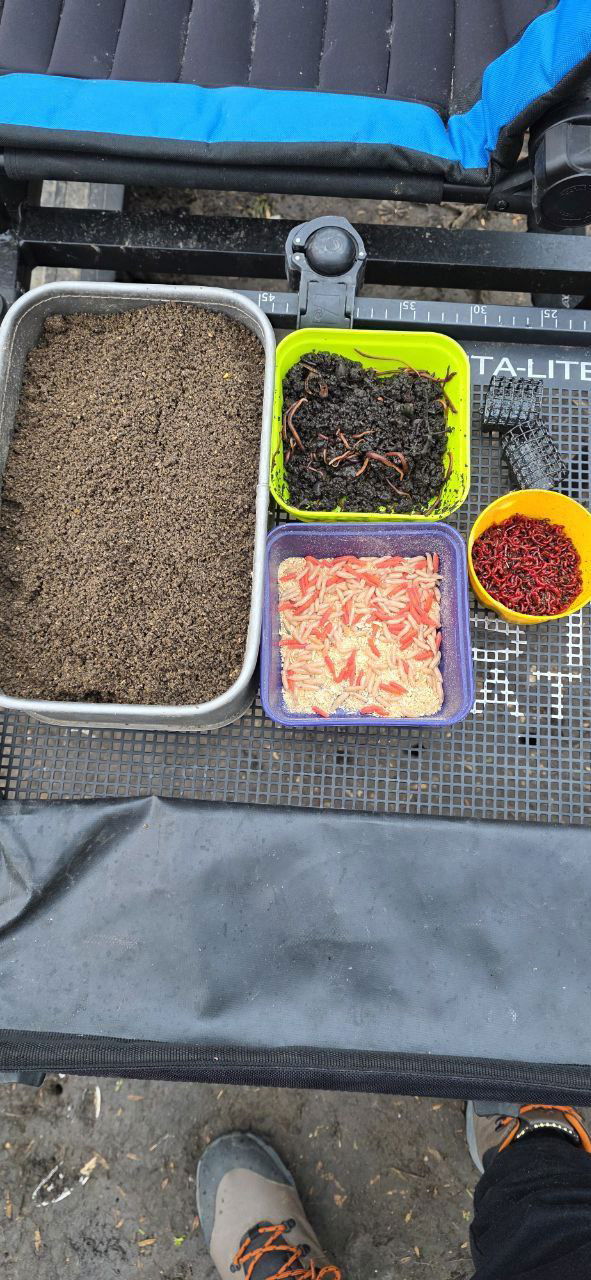 Контейнеры с прикормкой, мотылём и опарышем на столике; рабочее место рыболова с организованными снастями и запасами.