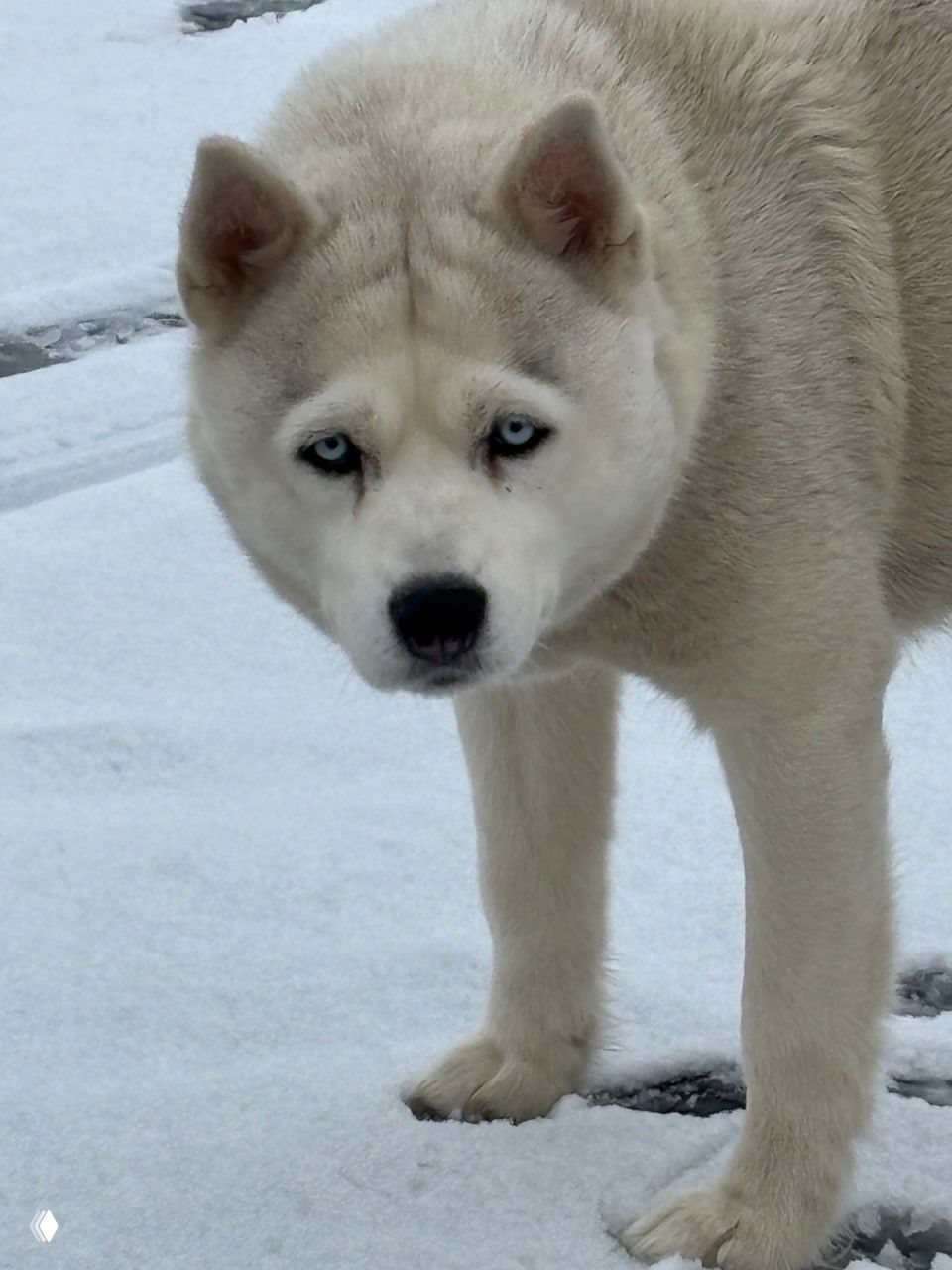 19.02 Рыбалка 15 котлован
