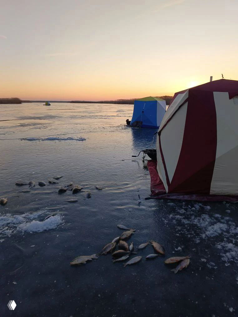 22–23 февраля — Рыбалка на Маныче, район п. Речного