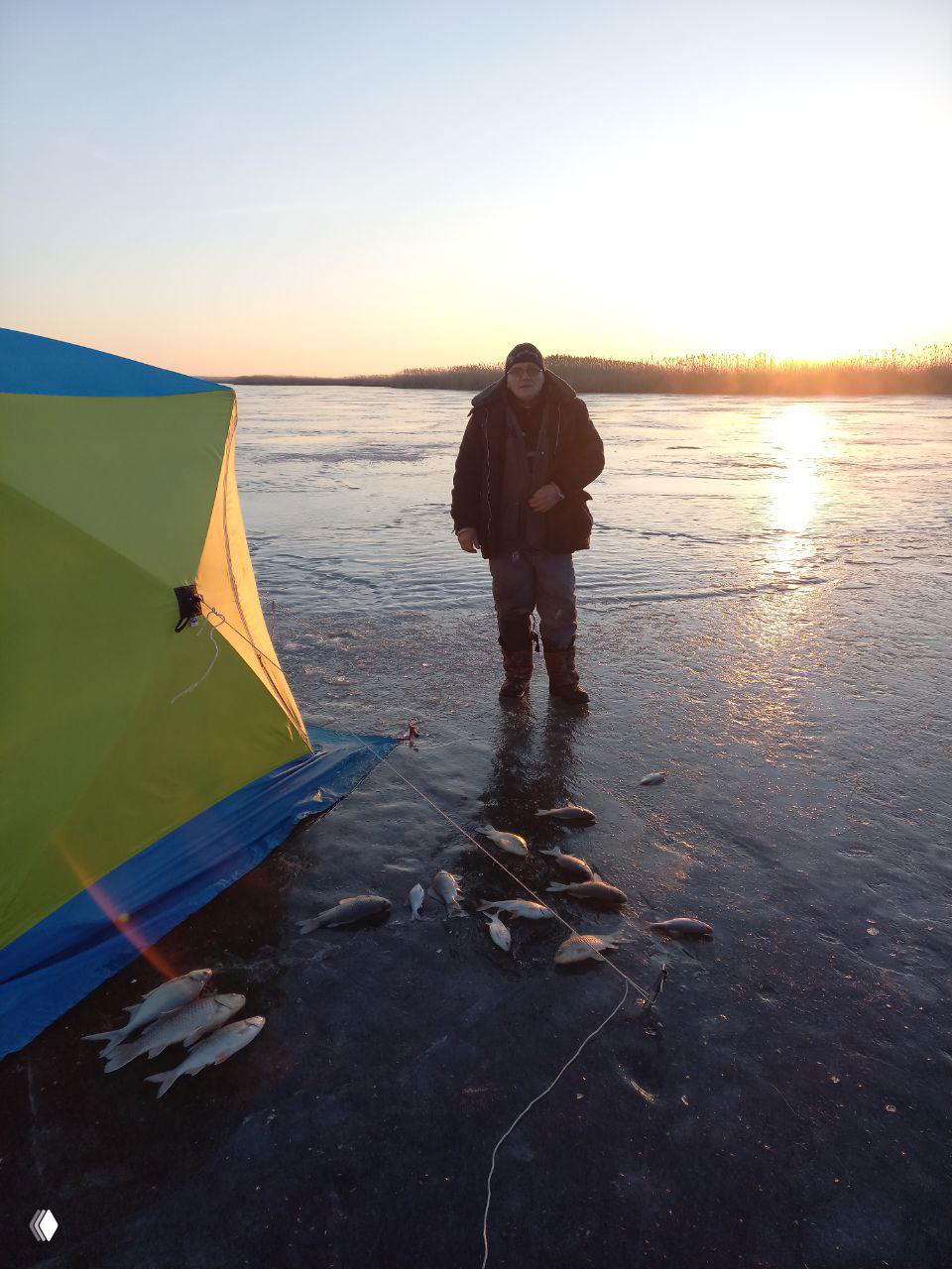 Рыбак стоит на ледяной поверхности у палатки на фоне заходящего солнца, возле него лежат несколько карасей, пойманных этой сессией.