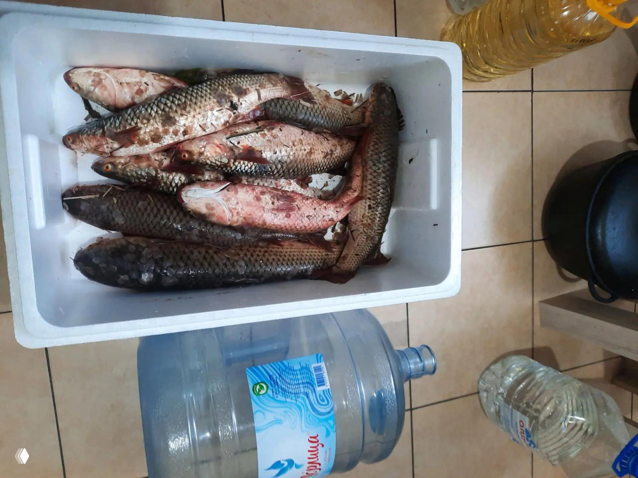 02.07 Рыбалка Рогожкино