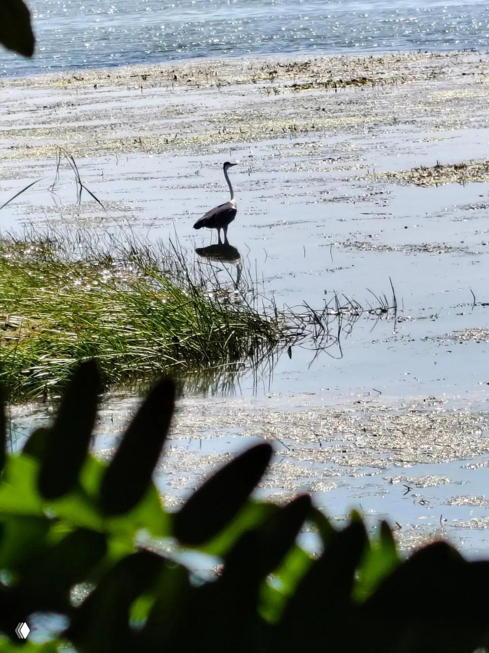 Рыбалка "Буревня" Дугино