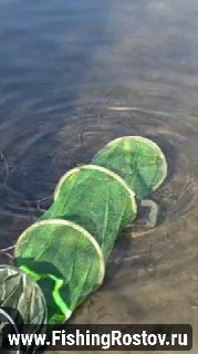 Зелёный садок (садочная конструкция) в воде у берега Тёплого канала, фрагмент ловли и отражения на поверхности, водяной знак сайта.