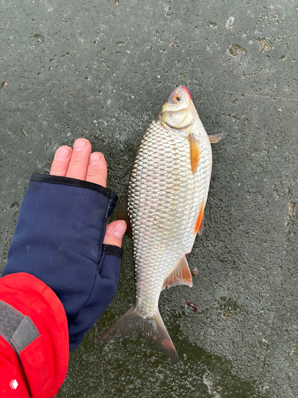 17.02 Рыбалка 15 котлован