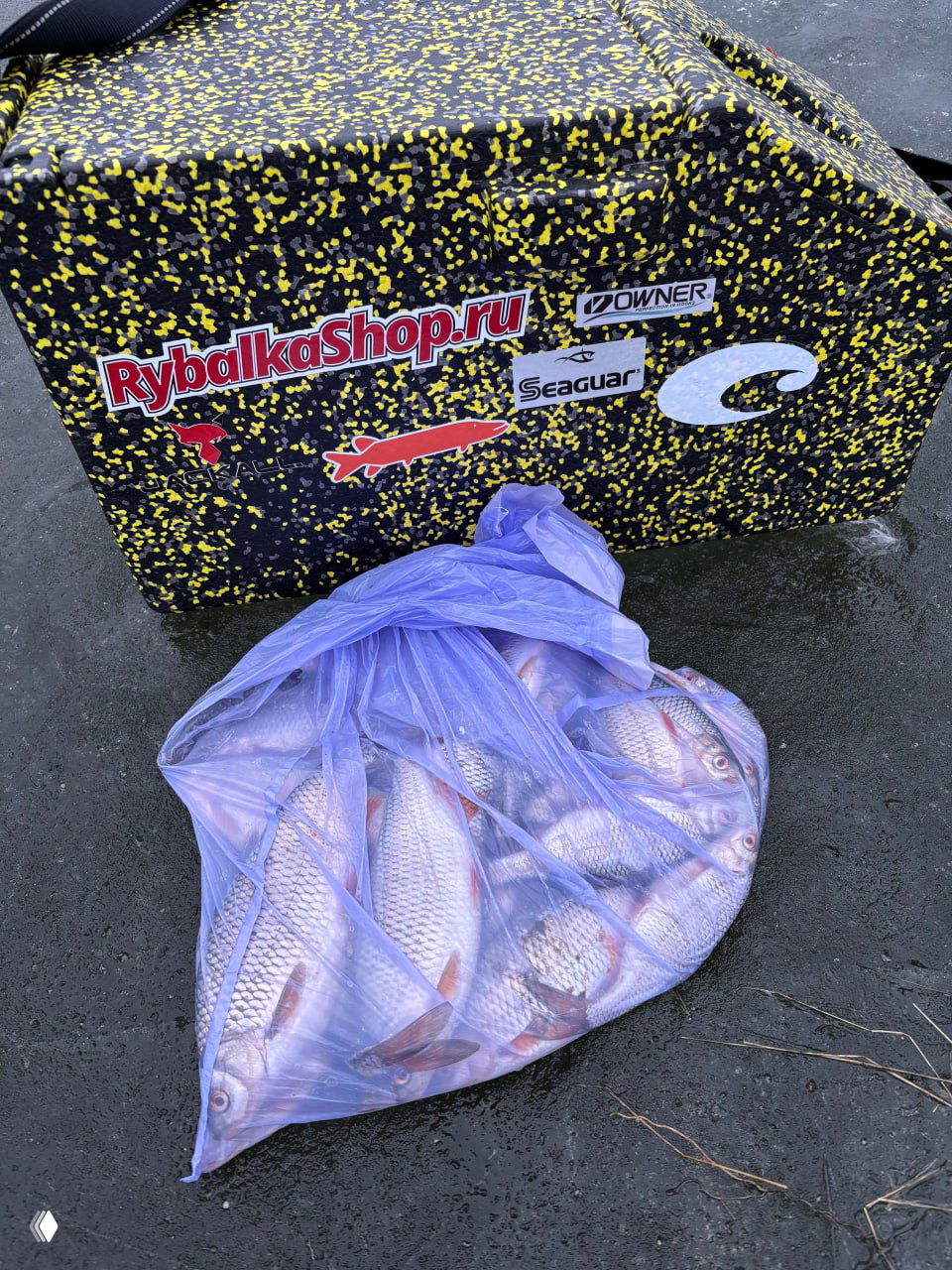 Сетчатый пакет с множеством пойманных рыб, лежащий на льду у чёрно‑жёлтого ящика с наклейками RybalkaShop.ru; видны тушки подлещика и общий улов.