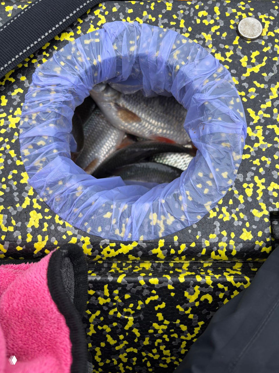 Открытое отверстие в сиденье/ящике, внутрь которого сложены пойманные рыбы в синем пакете; видна текстура чёрно‑жёлтого материала сиденья и тушки внутри.