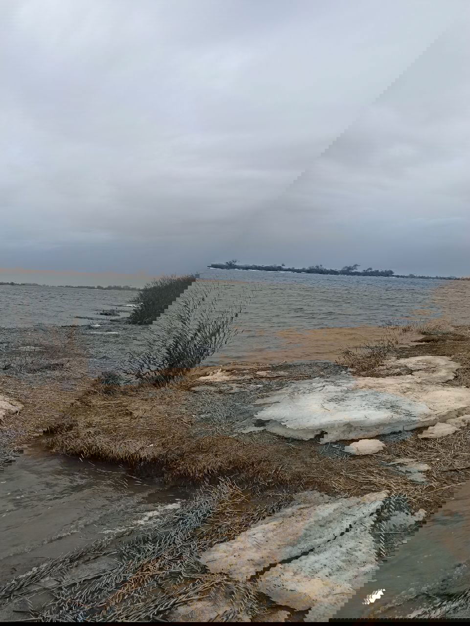 Обстановка на Рогожкино на 03.03