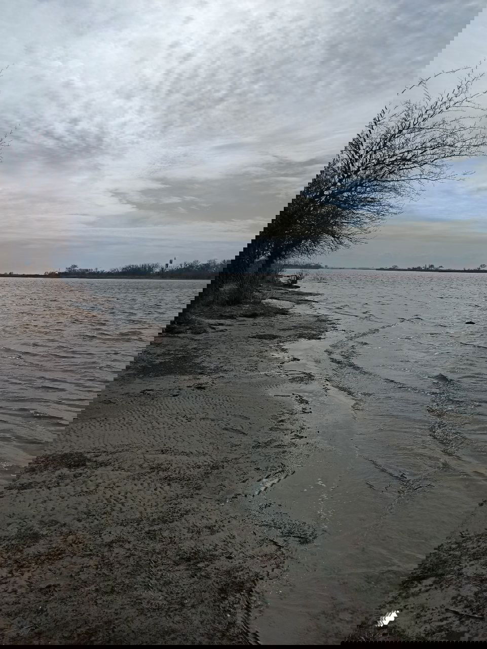 Побережье Рогожкино: волны у песчаного и илистого берега, редкие кусты и плотная серая облачность над рекой в марте.