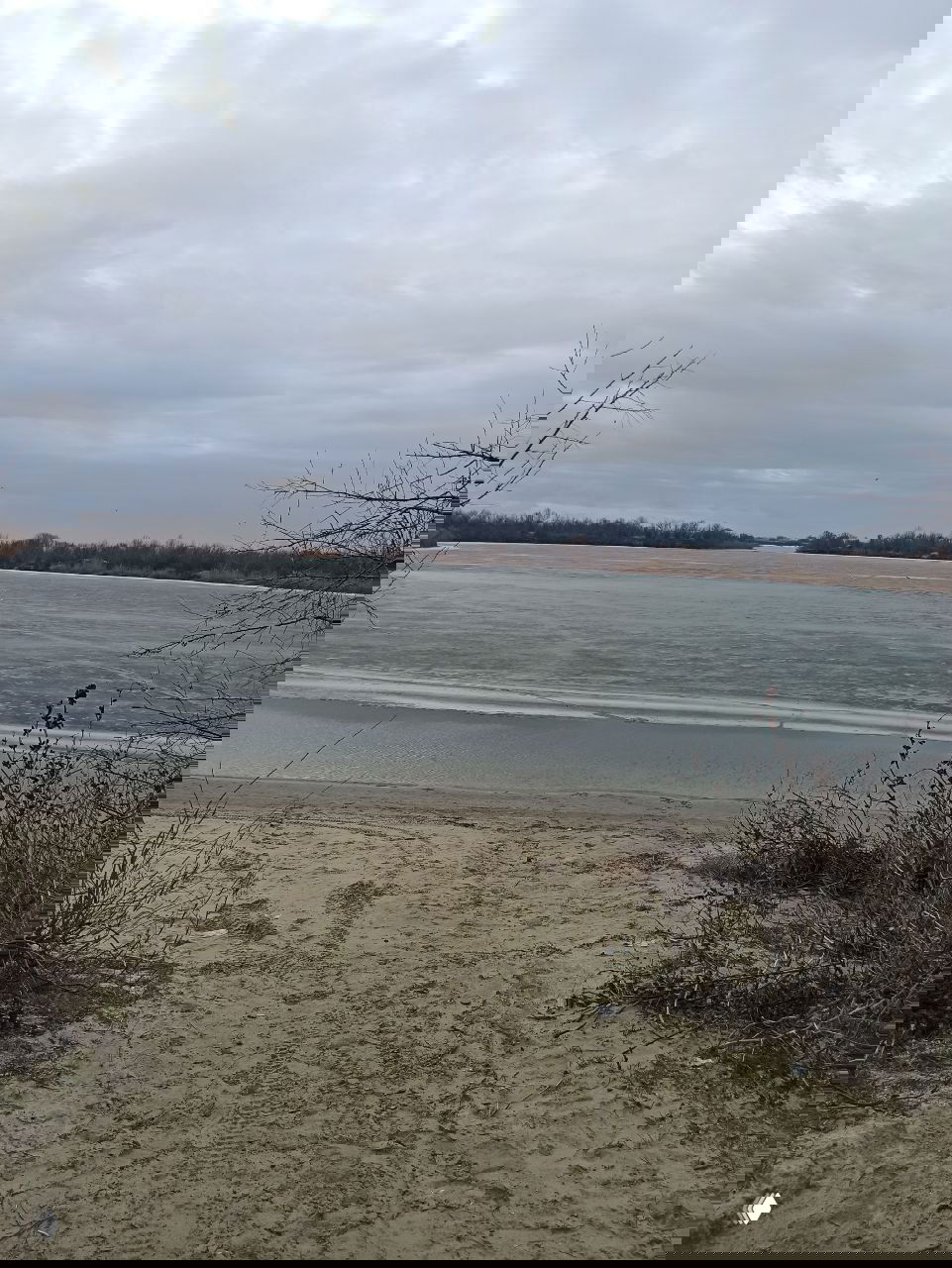 Широкий план замерзшего участка реки у песчаного захода на берег в Рогожкино, голые кусты и приграничная полоса льда перед открытой водой.