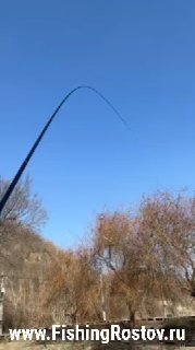 Изогнутое маховое удилище в момент вываживания, голубое небо и деревья на заднем плане, динамичный кадр