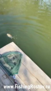 Вид на воду пруда и подсак на причале, слегка размыт кадр, след от лодки или действия в воде