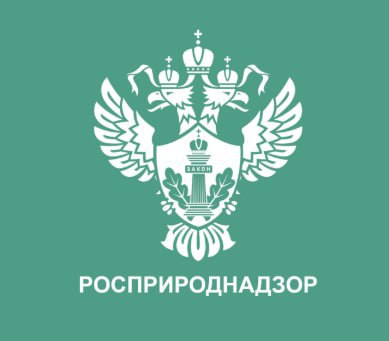 Зелёный фон с белым гербом и логотипом Росприроднадзора, официальный символ ведомства на однотонном фоне.