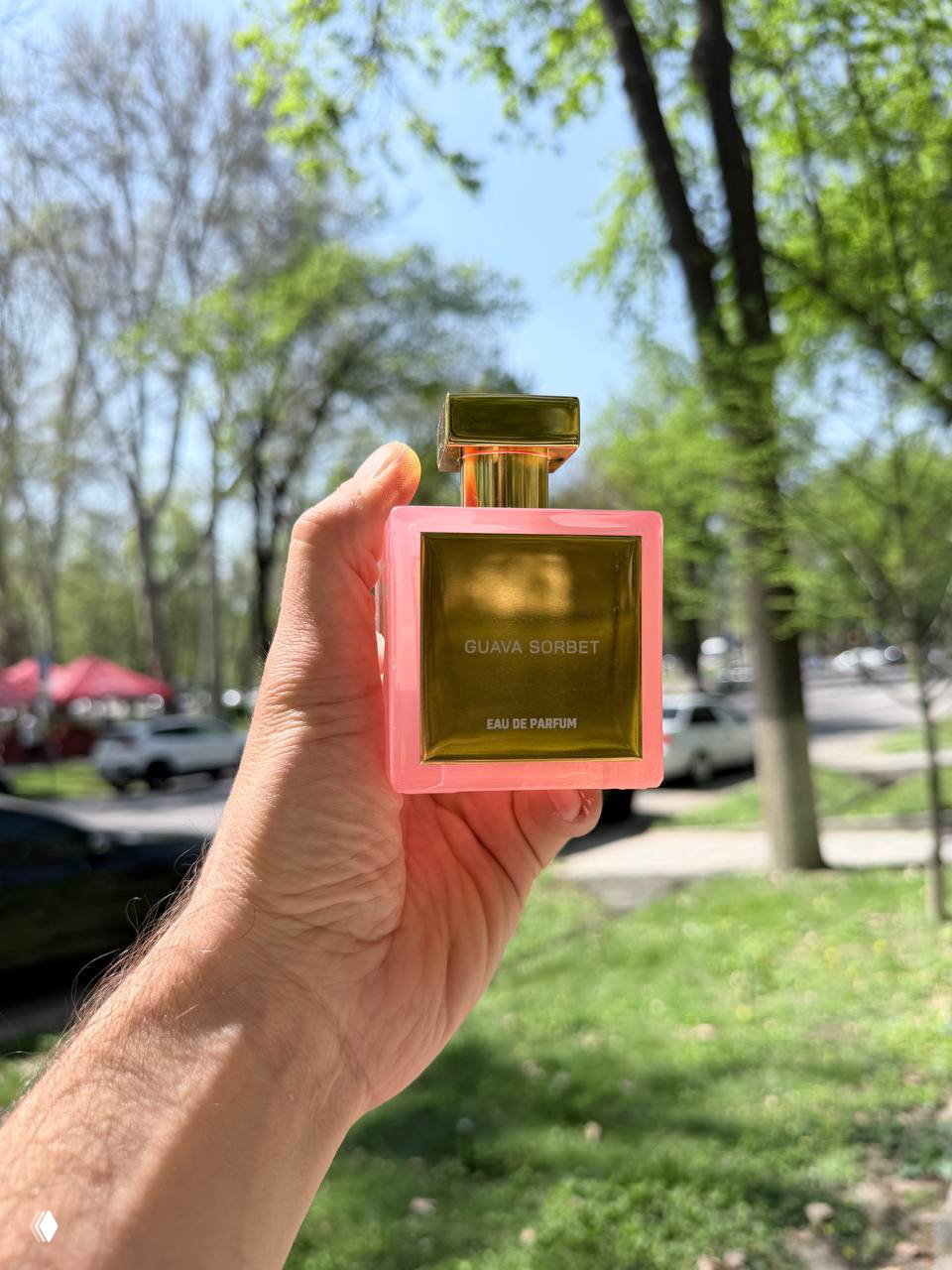 Guava Sorbet House of Brandt и утро переезда