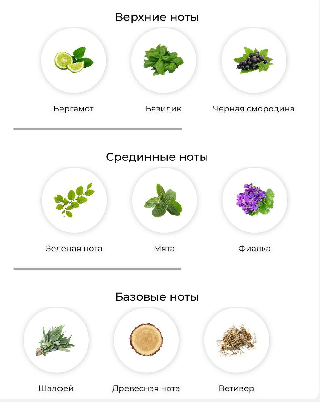 Greasque Sora Dora: ассоциация с летом