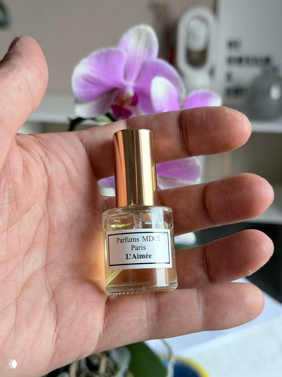 MDCI — L’Aimée: мой новый фаворит