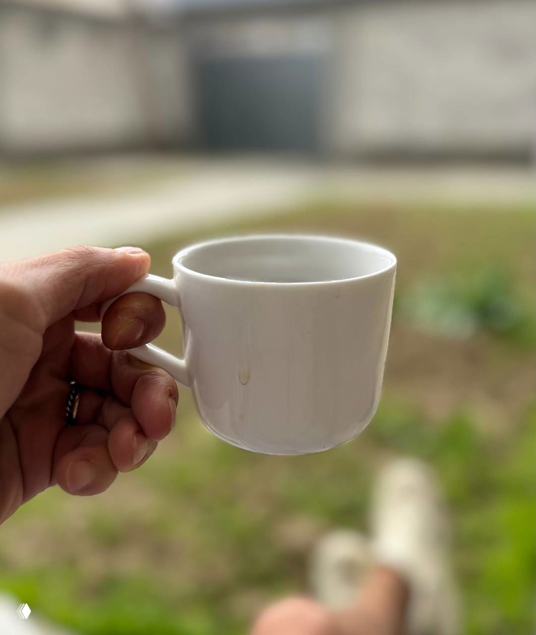 Утро, кофе и Burberry Ash Flower