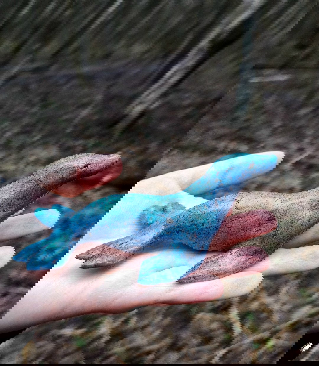 Гончарная мастерская и принятие непредсказуемости