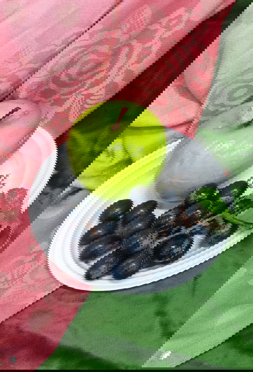 «Натюрморт с натуры» пастель от Натальи Дульцевой