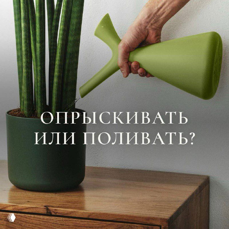 Подкормка биомолекулами: корень или опрыскивание?