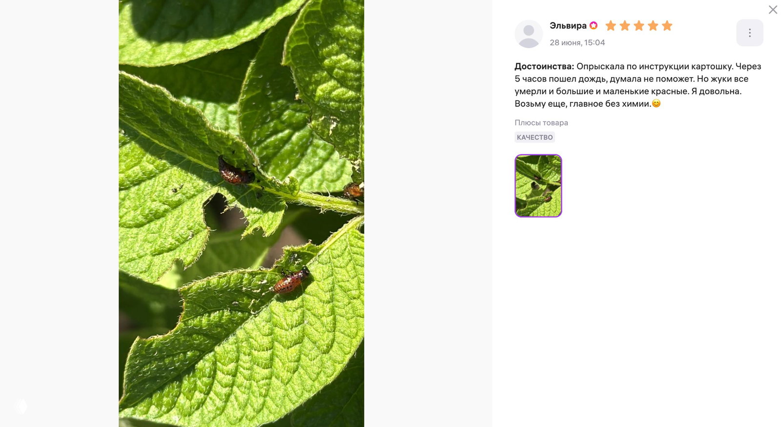 🌿 Иногда результат оказался лучше, чем ожидаешь