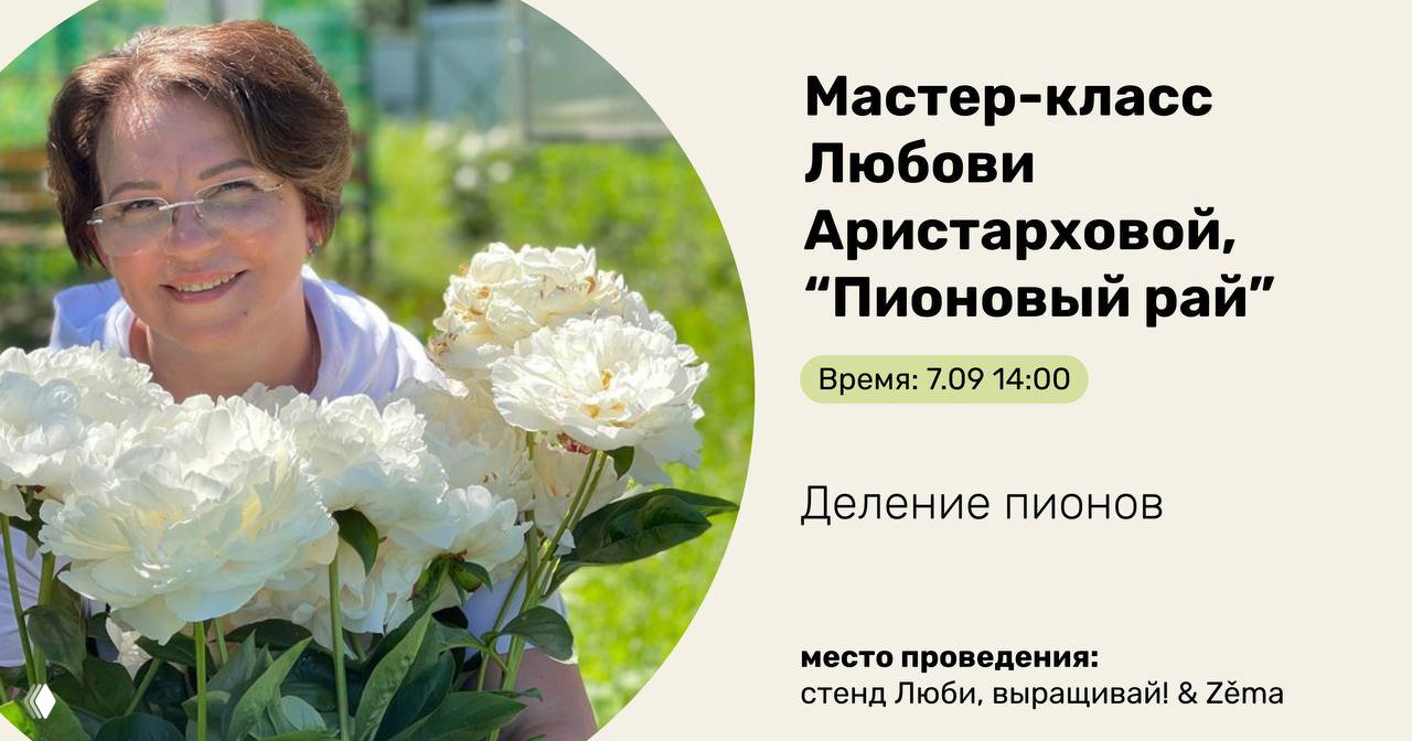 Мастер‑класс Любови Аристарховой — деление пионов
