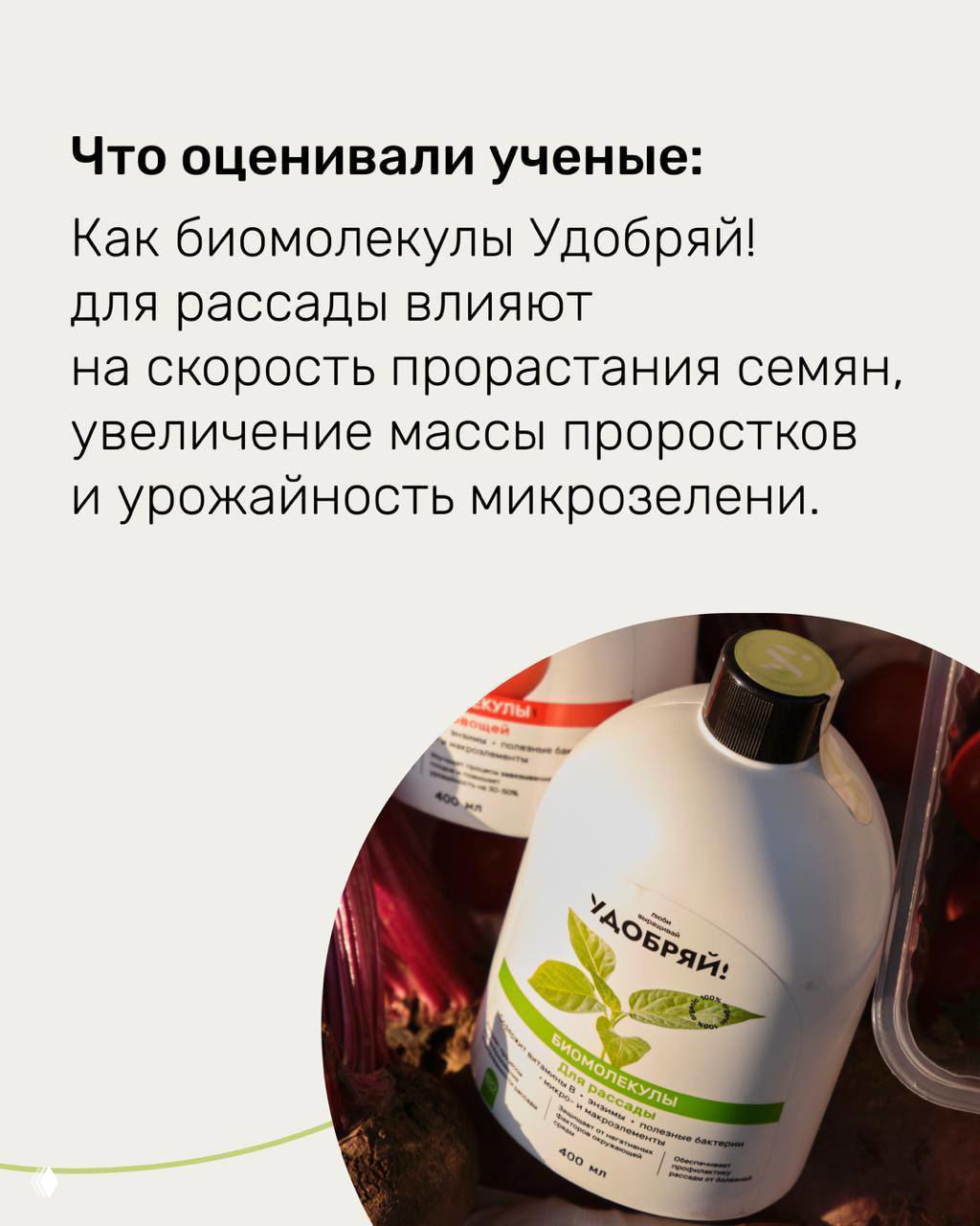 Биомолекулы Удобряй! для рассады — результаты исследования