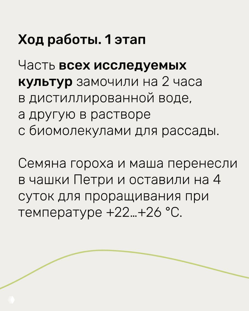 Текстовый слайд с описанием хода работы: замачивание семян в растворе с биомолекулами и контроль в дистиллированной воде при температуре +22…+26 °C.