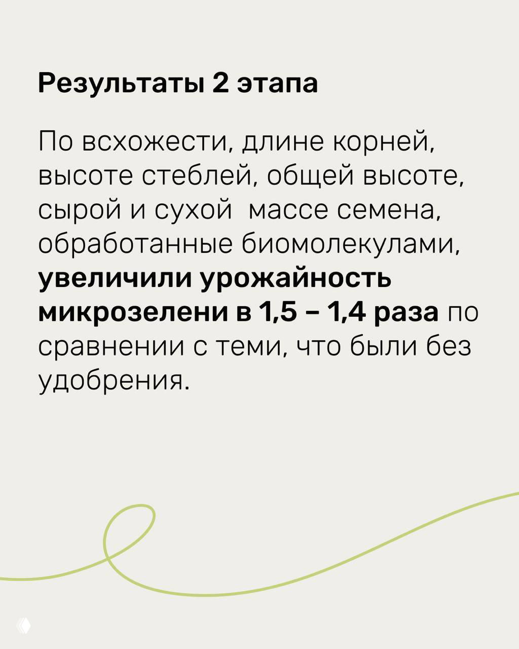 Фотография контейнеров с микрозеленью: слева — опыт (обработанная), справа — контроль, видно различие в густоте и массе ростков.