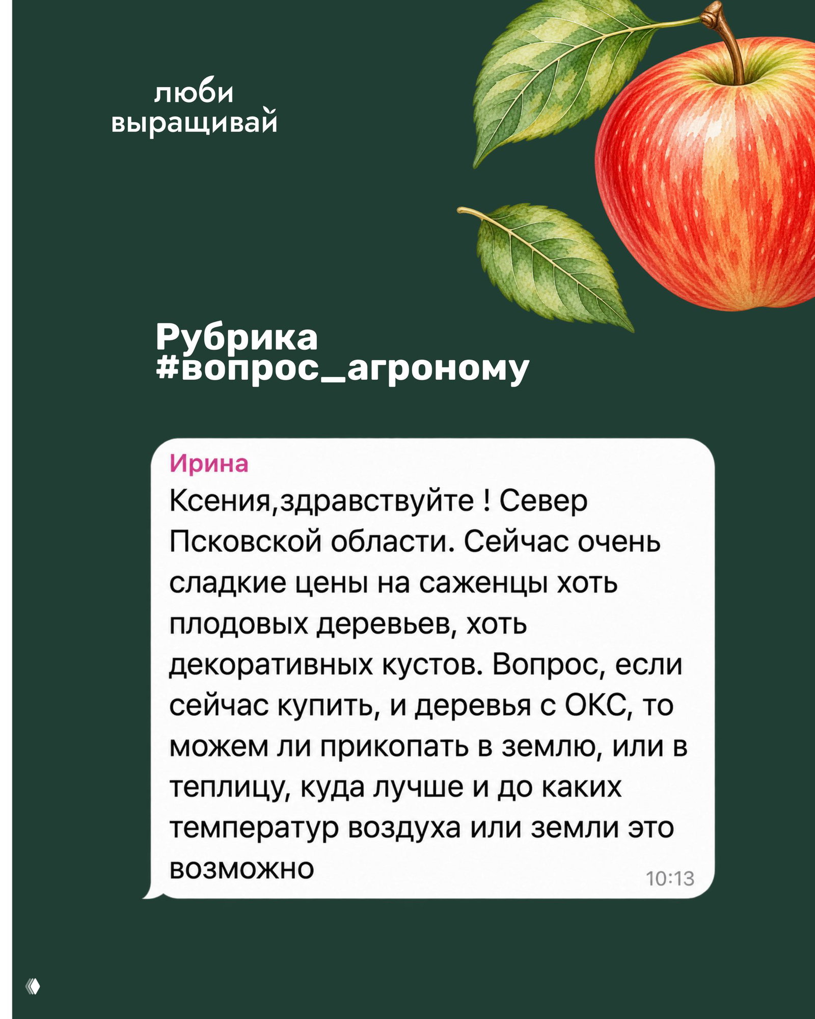 Зимняя прикопка саженцев в средней полосе — инструкция