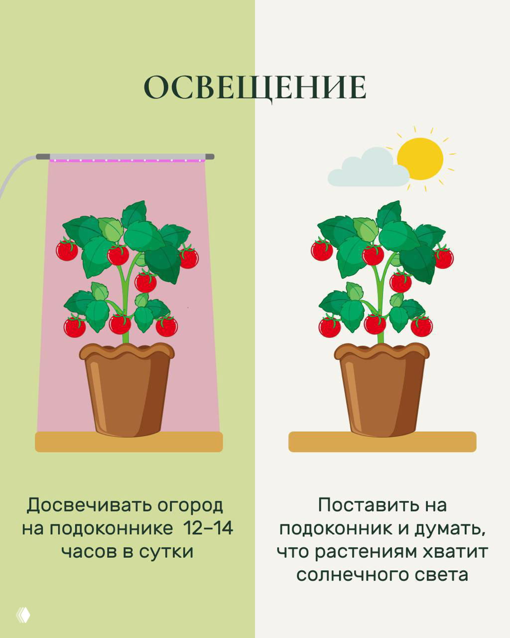 Карточка об освещении: изображение досветки слева и окна с солнцем справа, текст советует досвечивать 12–14 часов и не полагаться только на естественный свет.