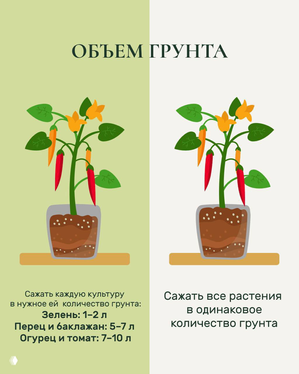 Инфографика про объём грунта: изображение горшка и перечень объёмов для зелени, перца, баклажана, огурца и томата с рекомендациями от 1 до 10 литров.