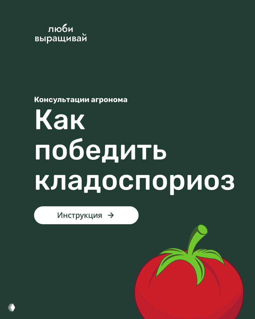 Как защитить томаты от кладоспориоза