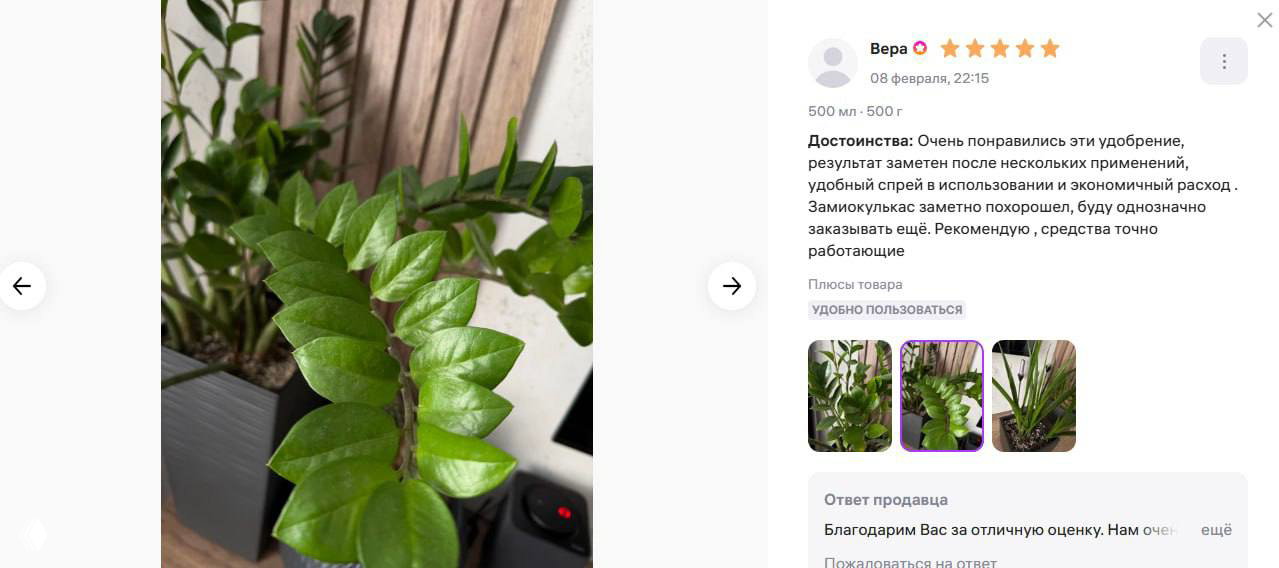 Крупный план листьев замиокулькаса — ярко-зелёная плотная листва после применения удобрений; виден горшок и фон интерьера.