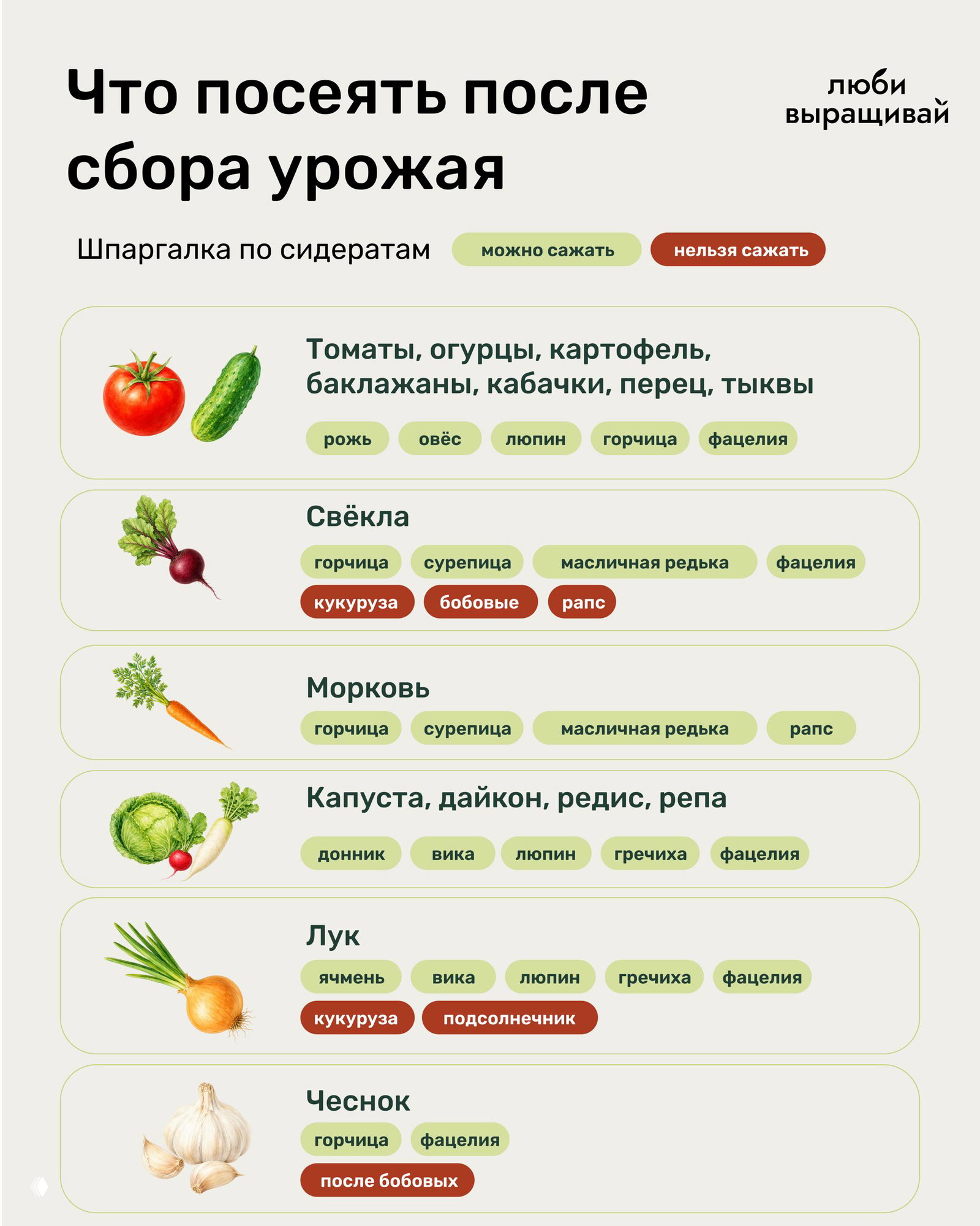 Какие сидераты лучше?