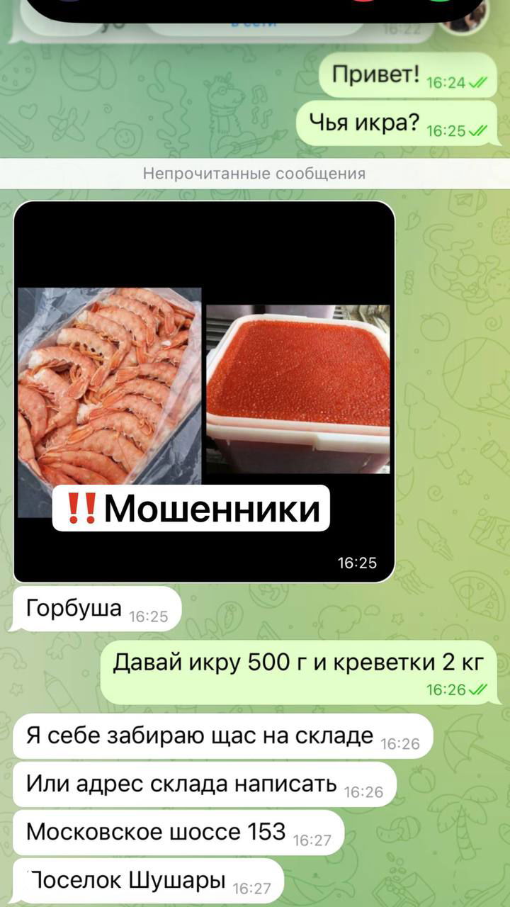 Скриншот переписки в мессенджере с фотографиями креветок и контейнера с икрой; видны сообщения «Горбуша», адрес "Московское шоссе 153" и упоминание поселка Шушары