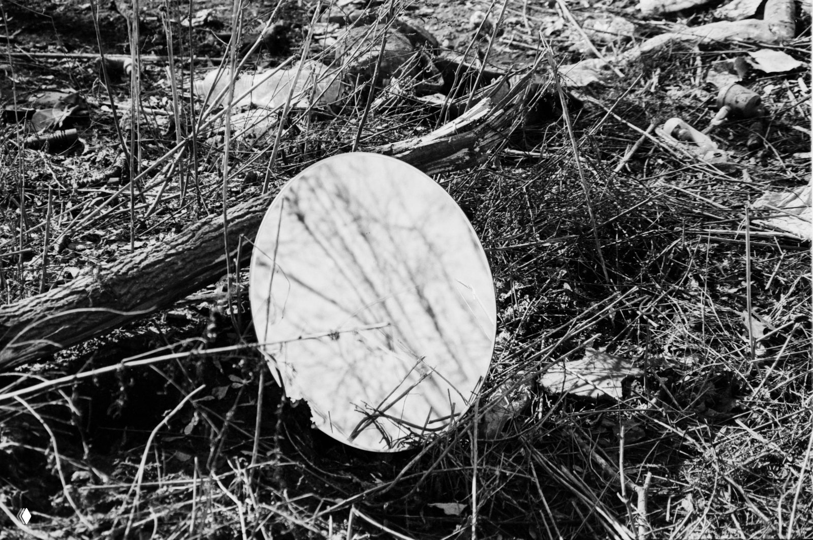 Чёрно‑белая плёночная фотография: круглый отражатель в сухой траве отражает ветви деревьев; заметна зернистость и контраст плёнки.