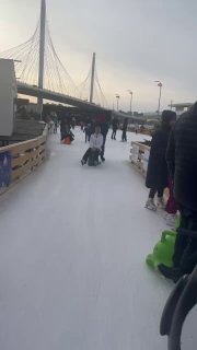 Каток у Флагштока: дети и взрослые на каталках и санках по залитому льду, рядом видно ограждение, толпу и городской мост.