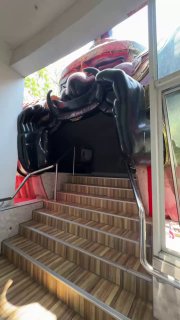 Лестница, ведущая внутрь рта дракона в храме; перила и ступени, тёмная мозаика и ощущение входа в внутреннее пространство строения. Фото автора.