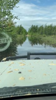 Вид из кабины автомобиля на участок дороги, переходящий в брод по воде; окружают кусты и лесистая береговая полоса.