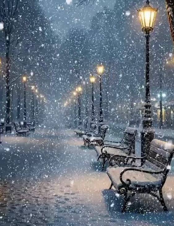 Февральские снежинки